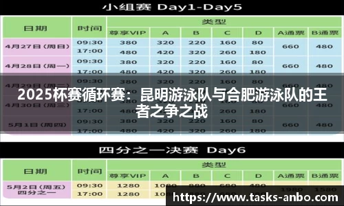 2025杯赛循环赛：昆明游泳队与合肥游泳队的王者之争之战